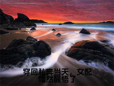 穿回私奔当天，女配幡然醒悟了（沈湛苏晴）全文免费阅读无弹窗大结局_穿回私奔当天，女配幡然醒悟了全文完整无删减版免费阅读