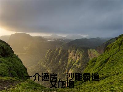 一介通房，沙雕霸道又爬墙（稗稗）全文免费阅读无弹窗大结局_一介通房，沙雕霸道又爬墙最新章节列表_笔趣阁（稗稗）