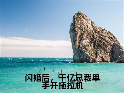 闪婚后，千亿总裁单手开拖拉机顾君撷红豆无广告阅读新上热文顾君撷红豆在线免费读