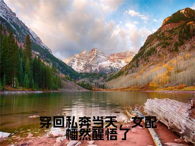 穿回私奔当天,女配幡然醒悟了(沈湛苏晴)全文免费阅读无弹窗大结局_穿回私奔当天,女配幡然醒悟了小说全文免费阅读最新章节列表(沈湛苏晴)