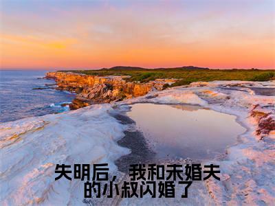 失明后,我和未婚夫的小叔闪婚了(宋时微陆渊)全文免费阅读无弹窗大结局_宋时微陆渊小说全文无弹窗