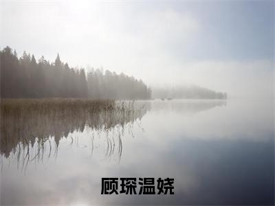 顾琛温娆(温娆顾琛)全文免费阅读-(温娆顾琛小说)顾琛温娆最新章节列表