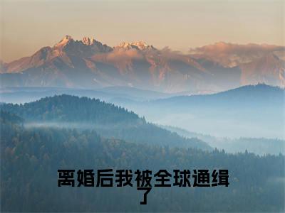 离婚后我被全球通缉了（夏洛特）精选好书-夏洛特无删减小说在线阅读（离婚后我被全球通缉了全文免费阅读）