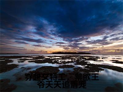 穿越女特工，禁欲王爷天天追着宠全文免费阅读无弹窗大结局-慕容皓林云熙最新章节列表_笔趣阁（穿越女特工，禁欲王爷天天追着宠）