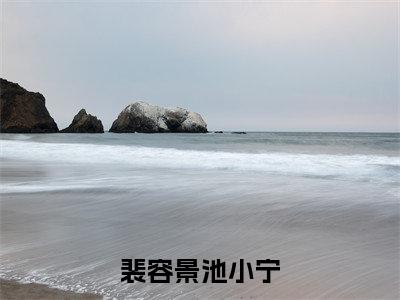 裴容景池小宁小说大结局完整版阅读,池小宁裴容景小说全文在线阅读