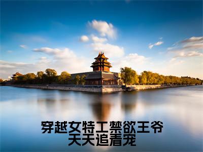 穿越女特工禁欲王爷天天追着宠小说慕容皓林云熙无弹窗免费阅读-最新小说穿越女特工禁欲王爷天天追着宠(慕容皓林云熙)全文阅读