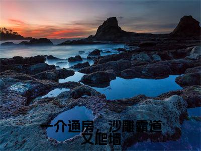 一介通房,沙雕霸道又爬墙(稗稗)全文免费阅读无弹窗大结局_一介通房,沙雕霸道又爬墙(稗稗)全文阅读_笔趣阁