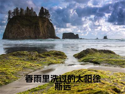 周言徐斯远长篇免费小说,春雨里洗过的太阳徐斯远最新章节在线阅读