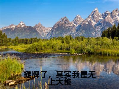 摊牌了,其实我是无上大能抖音新上免费热文陈林完结免费阅读无弹窗