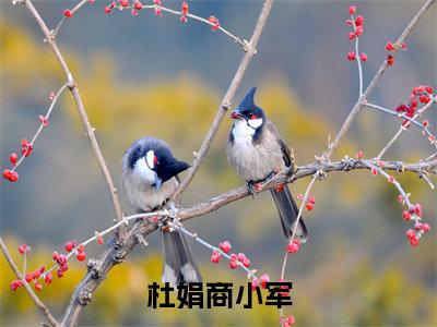 杜娟商小军小说在线阅读（商小军杜娟）全文免费阅读大结局_杜娟商小军最新章节列表笔趣阁