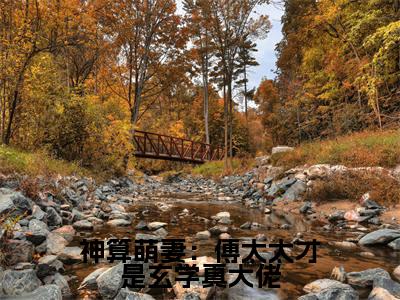 锦朝朝傅霆渊（神算萌妻：傅太太才是玄学真大佬）全文免费阅读无弹窗大结局_锦朝朝傅霆渊（神算萌妻：傅太太才是玄学真大佬小说免费阅读）_笔趣阁