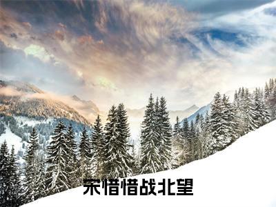 宋惜惜战北望（宋惜惜战北望）全文免费阅读无弹窗大结局_宋惜惜战北望免费最新章节列表_笔趣阁（宋惜惜战北望）