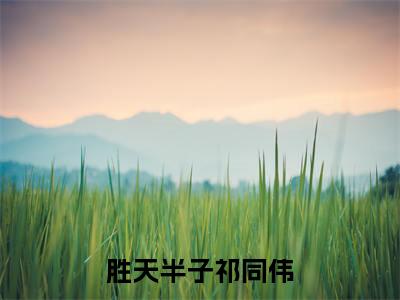 胜天半子祁同伟小说(祁同伟)全文免费阅读无弹窗大结局_胜天半子祁同伟全文免费完结版阅读(祁同伟)