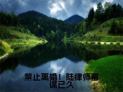 禁止离婚!陆律师蓄谋已久(华浓陆敬安)免费阅读_华浓陆敬安小说免费阅读-笔趣阁