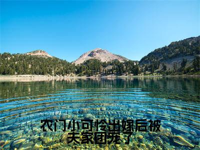农门小可怜出嫁后被夫家团宠了小说(柳小文李修延)全文免费阅读-农门小可怜出嫁后被夫家团宠了全文阅读无弹窗