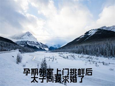 路知许（孕期外室上门挑衅后太子向我求婚了）全文免费阅读无弹窗大结局_路知许最新章节列表_笔趣阁