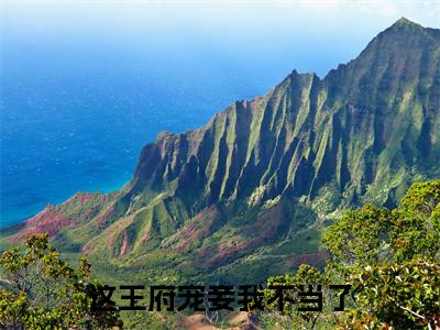 这王府宠妾我不当了小说(李睿安沐夕)全文免费阅读无弹窗大结局_(这王府宠妾我不当了)李睿安沐夕小说最新章节列表