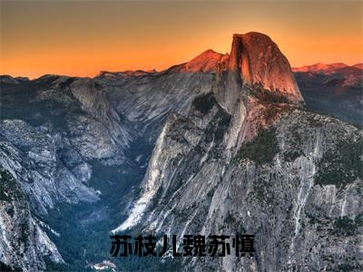 苏枝儿魏苏慎独家小说苏枝儿魏苏慎-苏枝儿魏苏慎无删版小说推荐