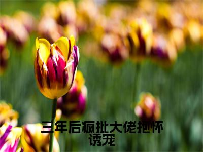 萧熠沈汐全文免费阅读无弹窗大结局_（三年后疯批大佬抱怀诱宠阅读全文大结局）萧熠沈汐最新章节列表（三年后疯批大佬抱怀诱宠）