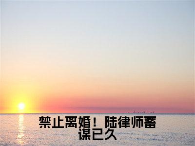 禁止离婚!陆律师蓄谋已久(华浓陆敬安)全文免费阅读无弹窗大结局_(禁止离婚!陆律师蓄谋已久)最新章节列表_笔趣阁(华浓陆敬安)