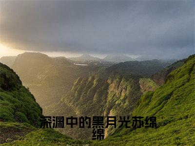 深渊中的黑月光苏绵绵谢与淮苏绵绵免费阅读无弹窗最新章节列表-(深渊中的黑月光苏绵绵)谢与淮苏绵绵全文免费阅读大结局笔趣阁