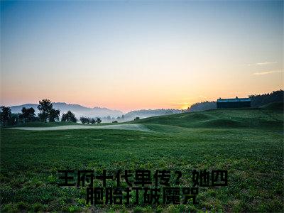 《王府十代单传?她四胞胎打破魔咒完整小说》夜墨琰叶汐棠完结版全章节阅读