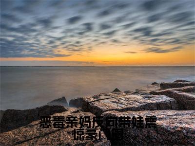恶毒亲妈反向带娃震惊豪门圈（方念初陆砚）全网首发最新小说-主角方念初陆砚全文在线免费阅读