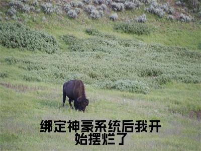 陆辰绑定神豪系统后我开始摆烂了小说全文免费阅读_陆辰(绑定神豪系统后我开始摆烂了)最新章节列表笔趣阁