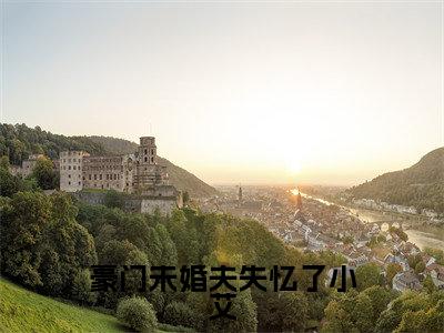 豪门未婚夫失忆了小艾小说(秦骁图小艾)全文免费阅读_(秦骁图小艾)豪门未婚夫失忆了小艾小说最新章节列表