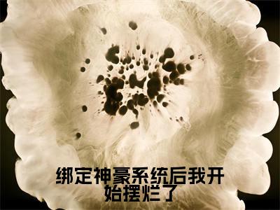 绑定神豪系统后我开始摆烂了（陆辰）全文免费阅读无弹窗大结局_（陆辰）全文最新章节列表