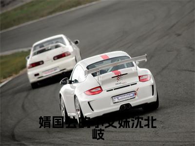 婧国公的小义妹沈北岐小说全文-沈璃沈北岐无弹窗免费阅读