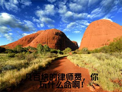 几百块的律师费,你玩什么命啊!全文免费阅读无弹窗大结局,苏青柏小说精彩免费试读