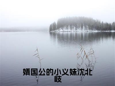 婧国公的小义妹沈北岐(沈璃沈北岐)全文免费阅读无弹窗大结局_(婧国公的小义妹沈北岐)最新章节列表