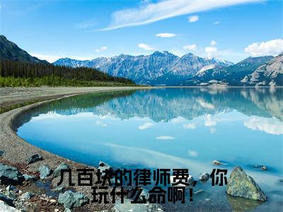 几百块的律师费,你玩什么命啊!最新章节(苏青柏)全文免费阅读无弹窗大结局_苏青柏免费阅读