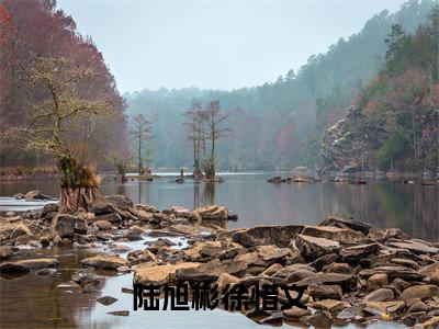 徐惜文陆旭彬(陆旭彬徐惜文)免费阅读无弹窗大结局-陆旭彬徐惜文完整版最新阅读