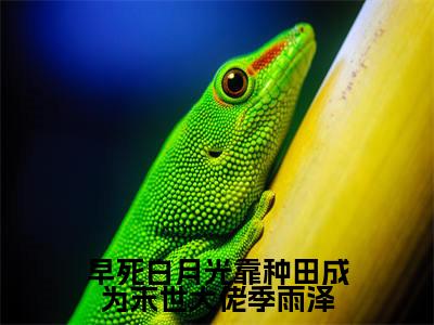 早死白月光靠种田成为末世大佬季雨泽（季雨泽全章节完整版）免费阅读_（季雨泽）早死白月光靠种田成为末世大佬季雨泽全文无删减免费阅读