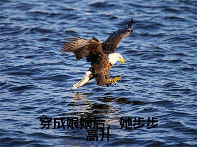 穿成娘娘后，她步步高升在线阅读全文免费阅读无弹窗大结局_张绾霍有楚最新章节列表_笔趣阁