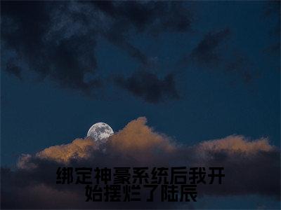 绑定神豪系统后我开始摆烂了陆辰（陆辰）全文免费阅读无弹窗_绑定神豪系统后我开始摆烂了陆辰完整版最新阅读_笔趣阁（陆辰）