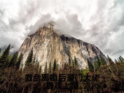 救命离婚后豪门大佬缠欢上瘾(乔婉盛夜城)全文免费阅读_救命离婚后豪门大佬缠欢上瘾(乔婉盛夜城)最新章节小说免费阅读