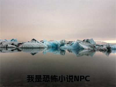 我是恐怖小说NPC(莉莉丝小说)小说全文免费阅读_莉莉丝小说下载_最新章节列表笔趣阁(我是恐怖小说NPC)