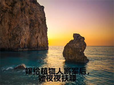司宁陆寒骁小说嫁给植物人将军后,她夜夜扶腰最新章节阅读-最新热点小说司宁陆寒骁