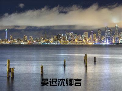 晏迟沈卿言小说全文免费阅读无弹窗,(沈卿言晏迟)小说全文免费阅读