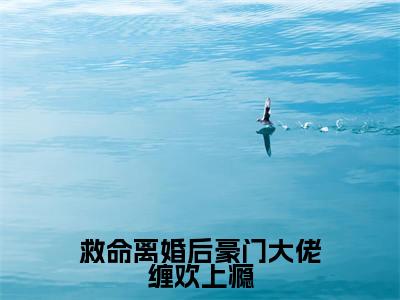 （救命离婚后豪门大佬缠欢上瘾小说免费阅读）乔婉盛夜城全文免费阅读无弹窗大结局-救命离婚后豪门大佬缠欢上瘾全文免费版阅读