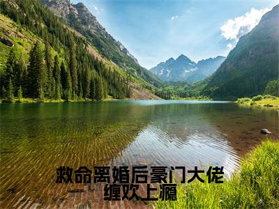 主人公叫(乔婉盛夜城)的小说(救命离婚后豪门大佬缠欢上瘾)免费阅读最新章节列表_笔趣阁
