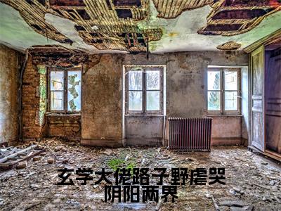 （酆砚商秋枝）小说全文免费阅读_酆砚商秋枝（玄学大佬路子野虐哭阴阳两界）最新章节热文在线阅读