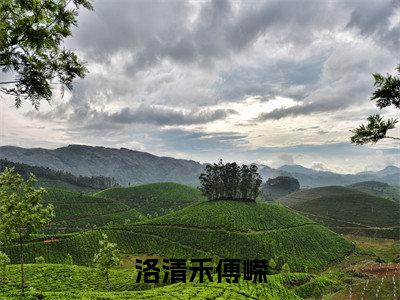 洛清禾傅嵘（洛清禾傅嵘）最火小说全文-（洛清禾傅嵘）洛清禾傅嵘小说完整版免费阅读