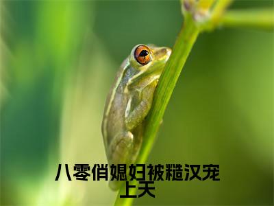 八零俏媳妇被糙汉宠上天(周野温暖)全文免费阅读无弹窗_周野温暖小说_笔趣阁