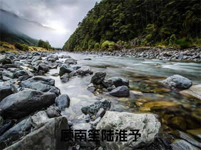 顾南笙陆淮予陆淮予顾南笙小说热门全集在线观看顾南笙陆淮予免费章节试读