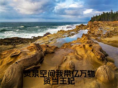灵泉空间我带亿万物资当王妃（轩辕墨萧灵儿）全文免费阅读无弹窗_轩辕墨萧灵儿最新小说_笔趣阁