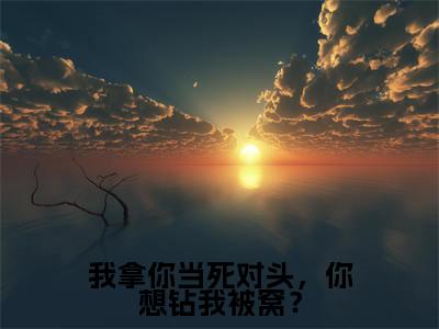 我拿你当死对头,你想钻我被窝?(沈妄江晚念)全文免费阅读无弹窗_沈妄江晚念最新小说_笔趣阁